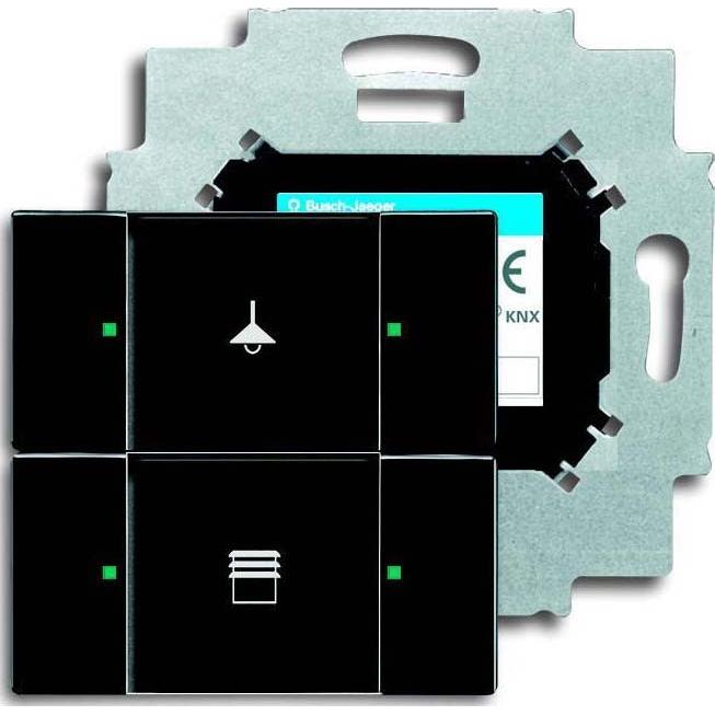 Busch-Jaeger, Programma di commutazione degli accessori, Elemento operativo 2f. w. BAU