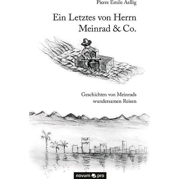 Ein Letztes von Herrn Meinrad & Co, Belletristik von Pierre E. Aellig