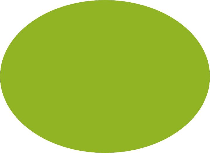 Immagine prodotto Pentel Pennello a colori (Verde chiaro, 1 x)