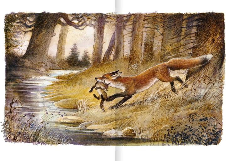 Image du produit Der Findefuchs (Allemand, Irina Korchounov, Reinhard Michl, 2021)