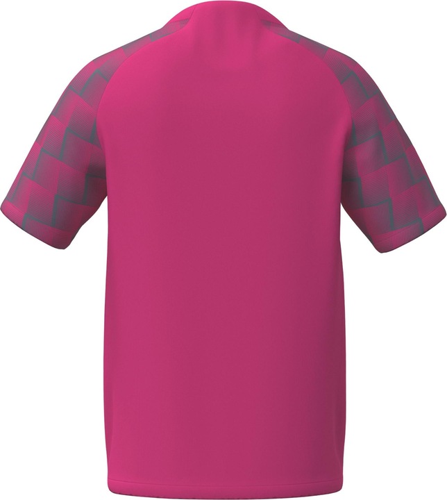 Actual product image Erima Evo Star jersey (XL)