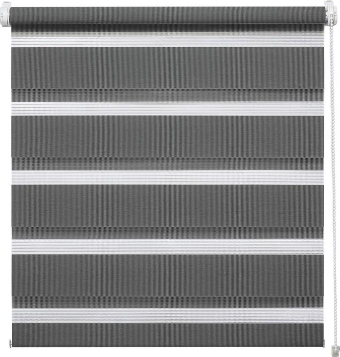Produktbild My home EASYFIX Doppelrollo (50 x 150 cm)