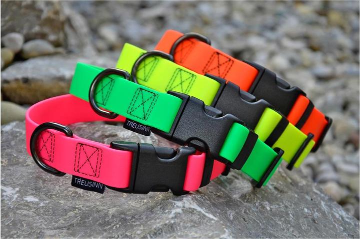 Actual product image Treusinn. Dog collar Biothane STAY (Dog, Dog sport)