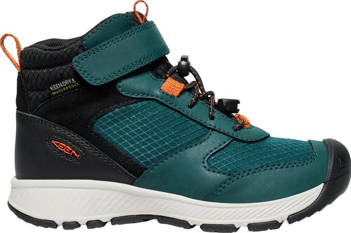 Gold Flame, Ponderosa Pine