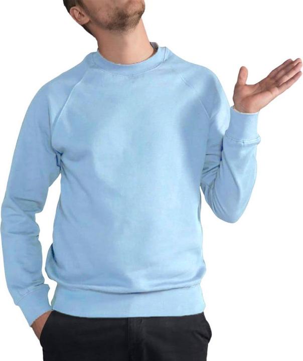 Produktbild Sg Raglan Sweatshirt Pullover Rundhalsausschnitt (L)