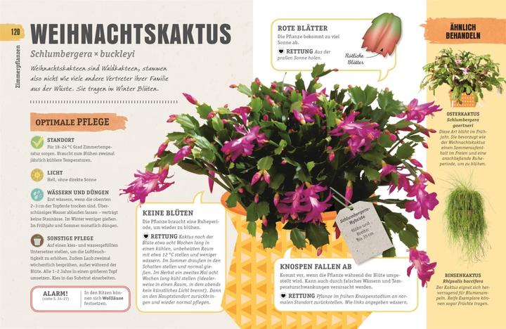 Produktbild So überleben Zimmerpflanzen garantiert (Deutsch, Veronica Peerless, 2018)