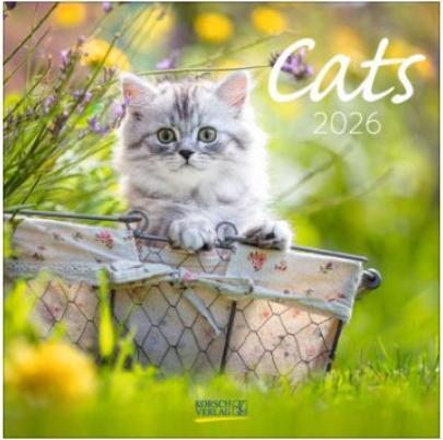 Actual product image Cats 2026 (Special)