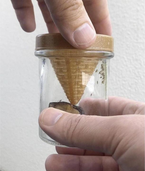 Actual product image Vincentes Frubby