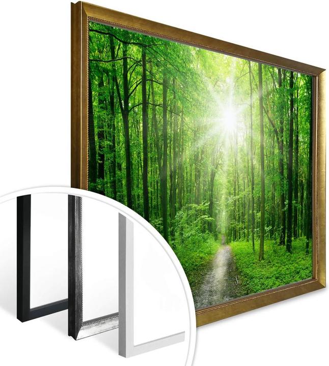 Image du produit Trenddeko Sunny Forest (60 x 50 cm)