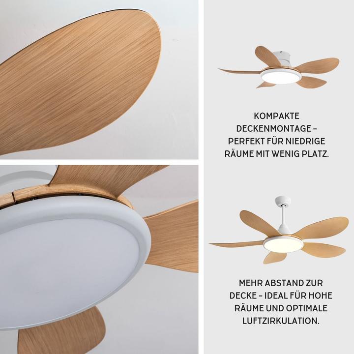 Produktbild Hermex Ventilator mit LED-Beleuchtung Deckenventilator Deckengebläse (20 dB)