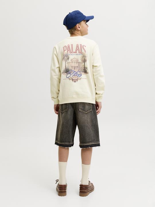 Image du produit Jack & Jones Sweatshirt Junior Sweatshirt (176)