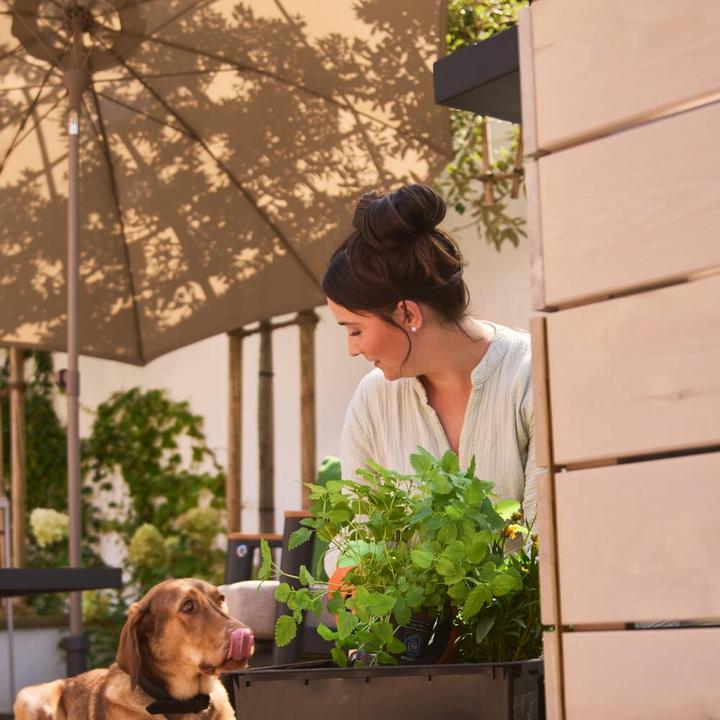 Produktbild Siena Garden Paolo Mittelstockschirmtaupe Ø 270 cm (2.70 m)