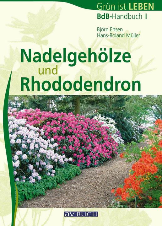 Produktbild Nadelgehölze und Rhododendron (Deutsch, Björn Ehsen, Hans-Roland Müller, 2014)