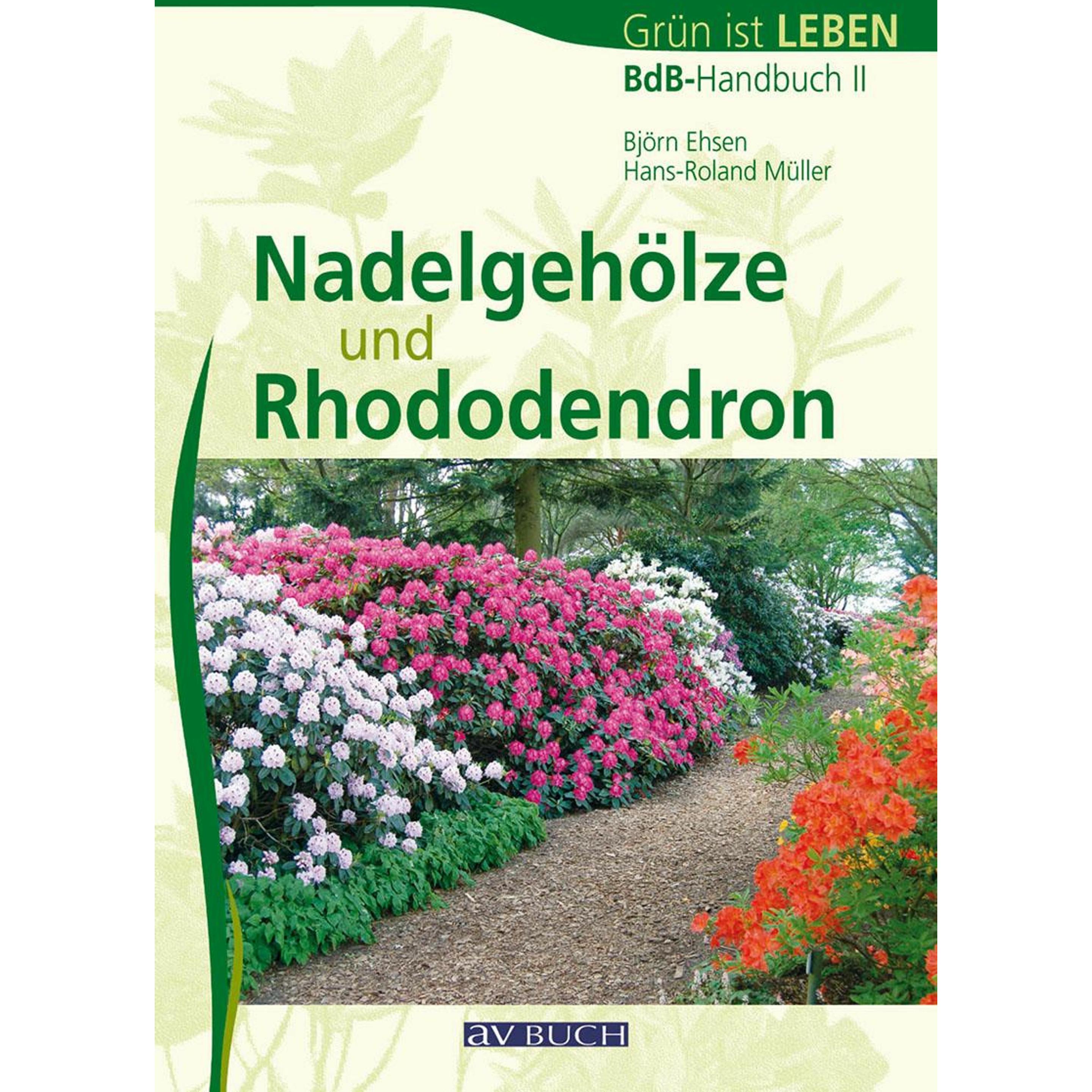 Nadelgehölze und Rhododendron, Fachbücher von Björn Ehsen, Hans-Roland Müller
