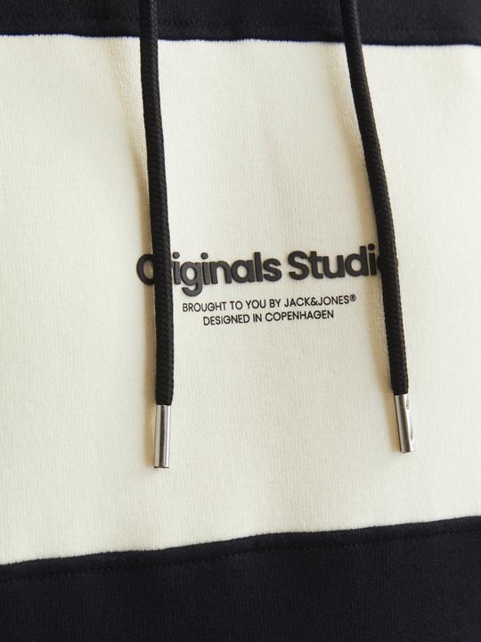 Produktbild Jack & Jones Jorvesterbro Block Sweat Hood Styd Aw24 (M)
