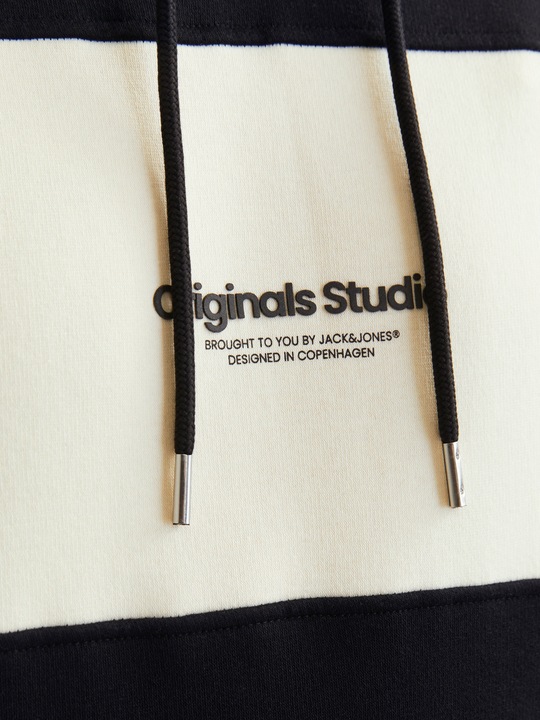 Actual product image Jack & Jones Jorvesterbro Block Sweat Hood Styd Aw24 (M)