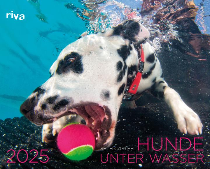 Produktbild Hunde unter Wasser 2025