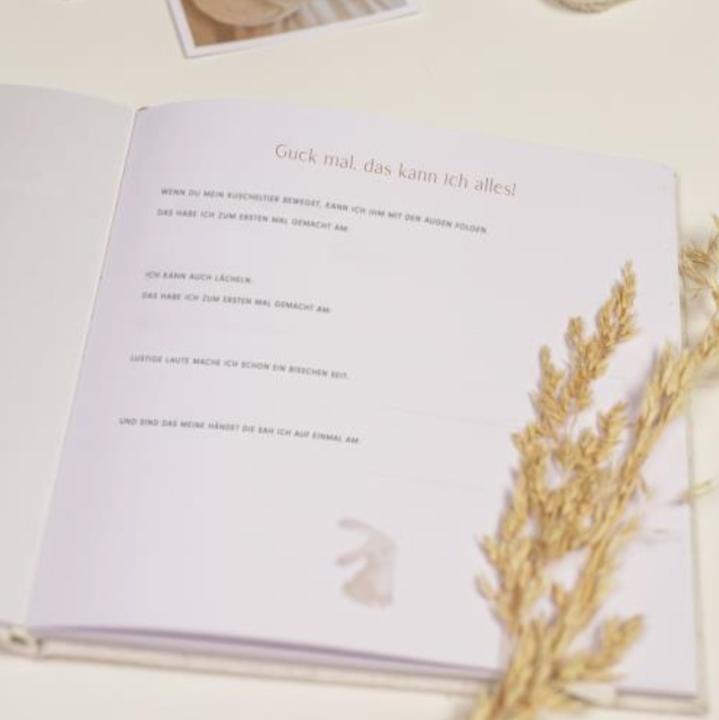 Immagine prodotto Little Dutch Il mio primo anno (Tedesco)