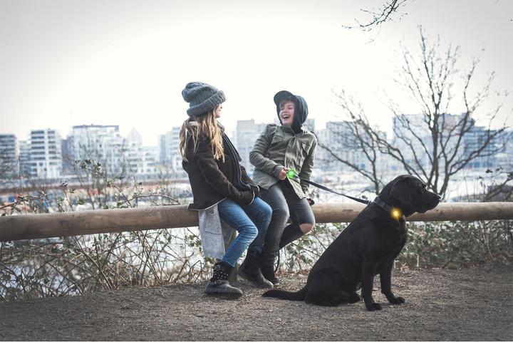 Image du produit Orbiloc Feu de sécurité double pour chien (Taille unique, Chien, Général)