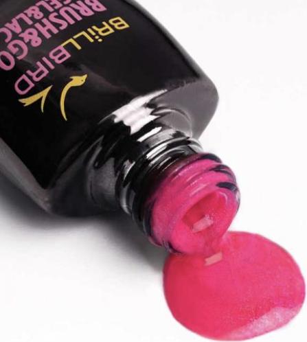 Image du produit BrillBird Brush & go Gel&lac GoGL 08 - 8ml (Vernis à ongles effet gel)