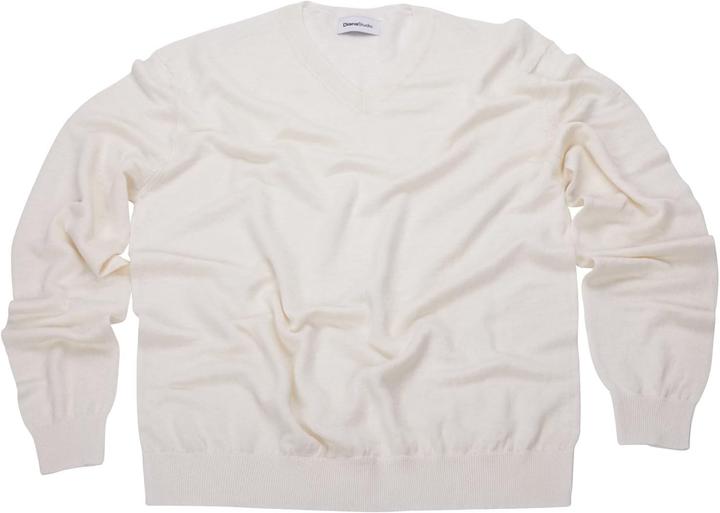 Immagine prodotto Diana Studio Top in Lino con Scollo a V (S)