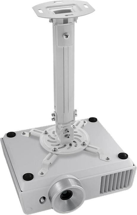 Actual product image Techly Projector ceiling mount (Ceiling)