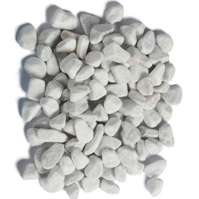 6x Europet Carrara (Pietra, altre voci), Decorazione per acquario