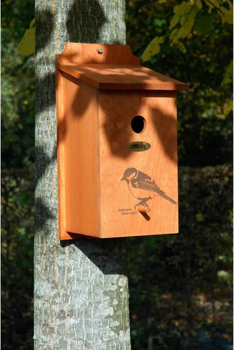 Produktbild Dobar Nistkasten mit Motiv Kohlmeise 17 x 18 x 35 cm