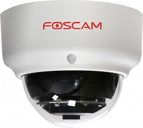 Actual product image Foscam D2EP (1920 x 1080 Pixels)
