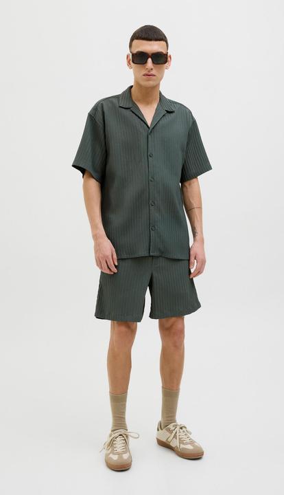 Actual product image Jack & Jones Regular Fit Relaxed Fit Shorts Relaxed Fit Shorts (S)