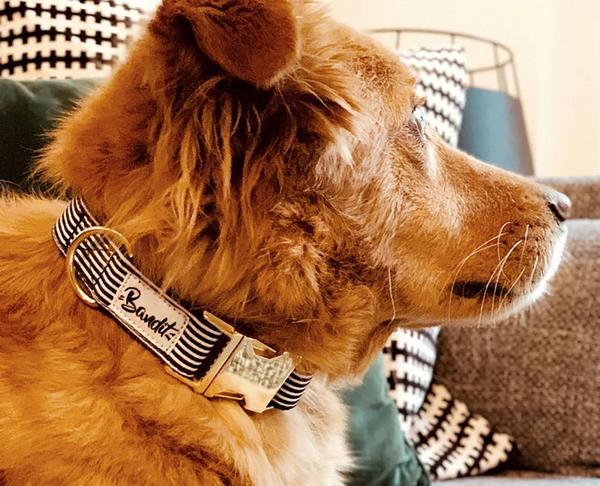 Produktbild French Bandit Hundehalsband In The Navy (Hund, Allgemein)