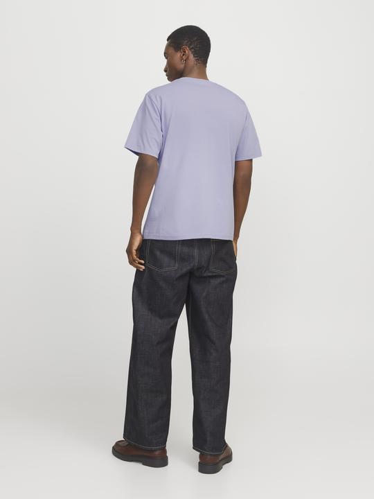 Produktbild Jack & Jones Jorvesterbro Picture Tee Ss Crew Neck Sn (L)