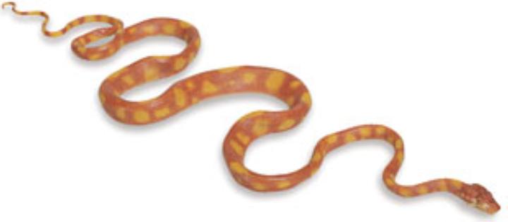 Actual product image Safari Ic Amazon Tree Boa Snake