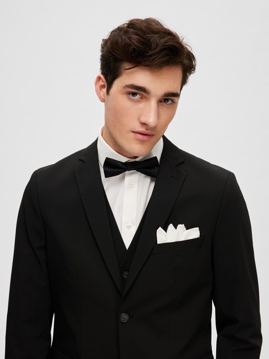 Image du produit Selected Homme Noeud papillon formel uni