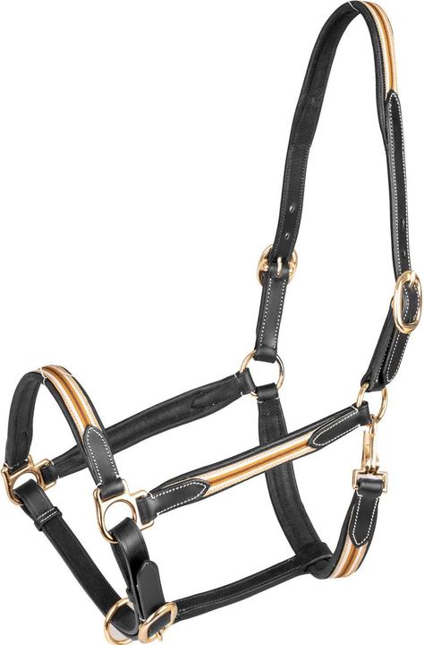 Immagine prodotto Waldhausen X-Line Oxford