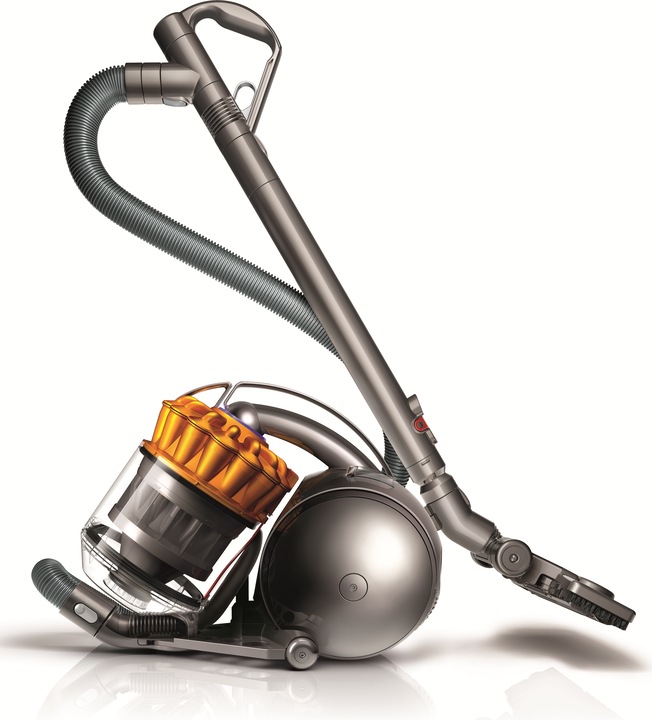 Actual product image Dyson DC33c Allergy Musclehead