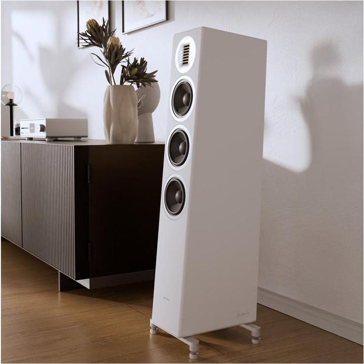 Image du produit Sonoro Orchestra Shaped Signature (1 pièce)