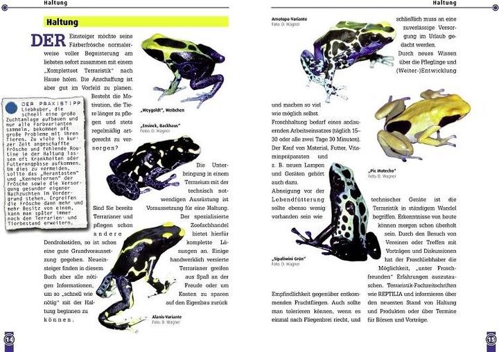 Produktbild Der Färberfrosch (Deutsch, Dirk Wagner, 2008)