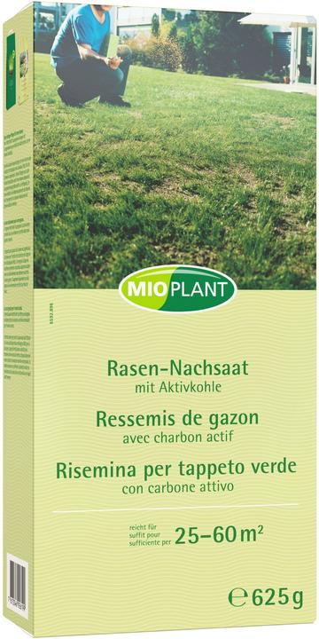 Mioplant La risemina del prato (Risemina del prato)