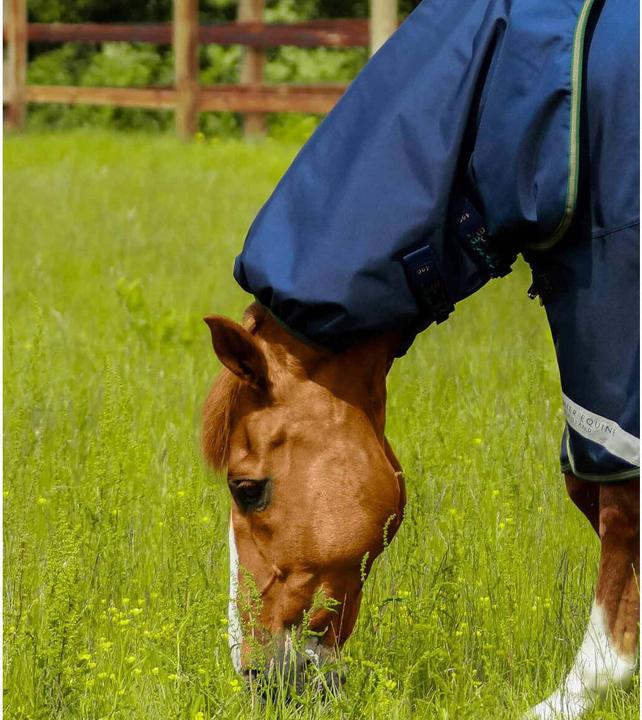 Actual product image Premier Equine outdoor horse blanket with neck cover titan 40 g (168 cm)
