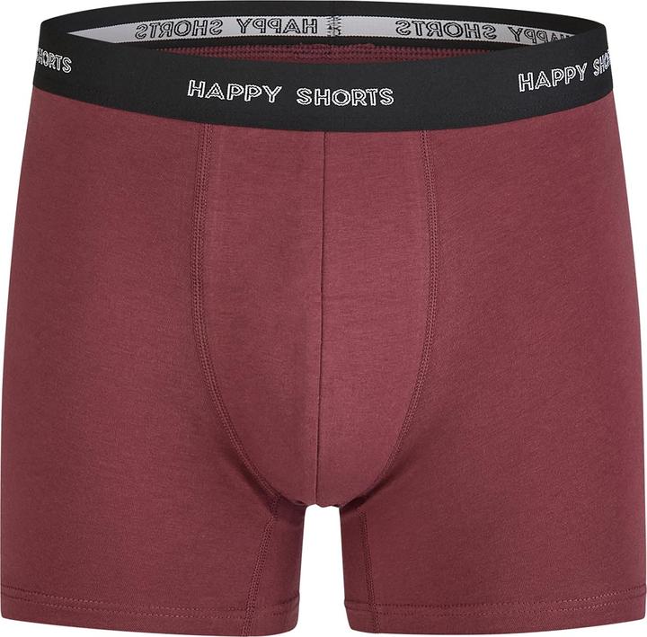Actual product image Happy shorts Retro Pants Jersey (XL, pack of 3)