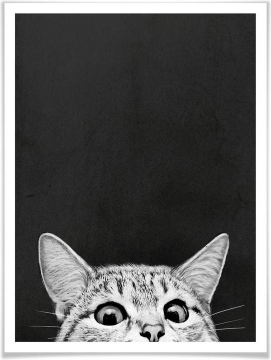 Immagine prodotto Trenddeko Graves - Stai già dormendo (80 x 100 cm)