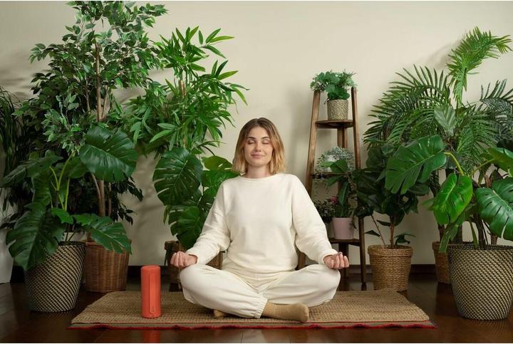 Actual product image We. by Loewe We. HEAR 1 (14 h)