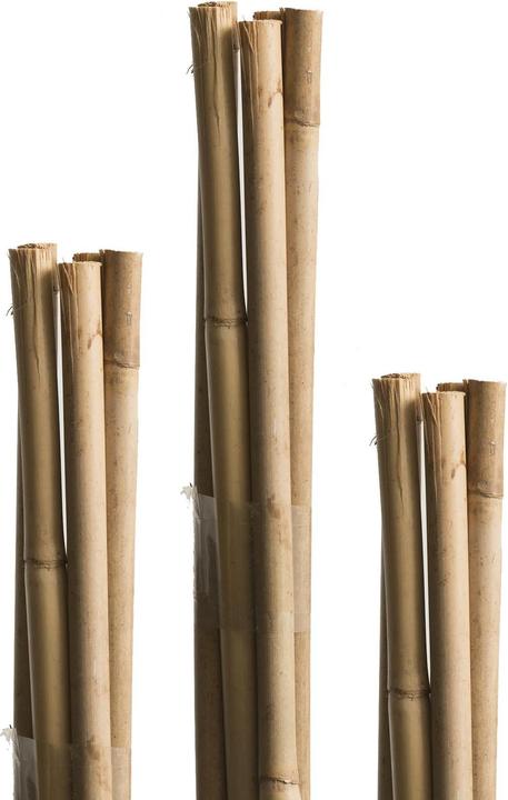 Windhager Le Tonkin et le bâton à copeaux (120 cm, 1 cm)