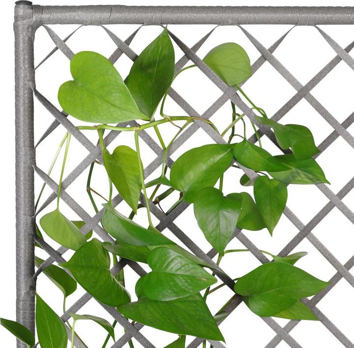 Actual product image Casaria Flower box (83 x 30.50 x 60 cm)