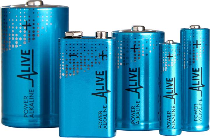 Produktbild Batterie Alkaline (2 Stk., D, 14000 mAh)