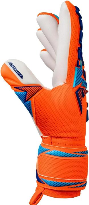Produktbild Reusch Attrakt Freegel Advance Junior (4)