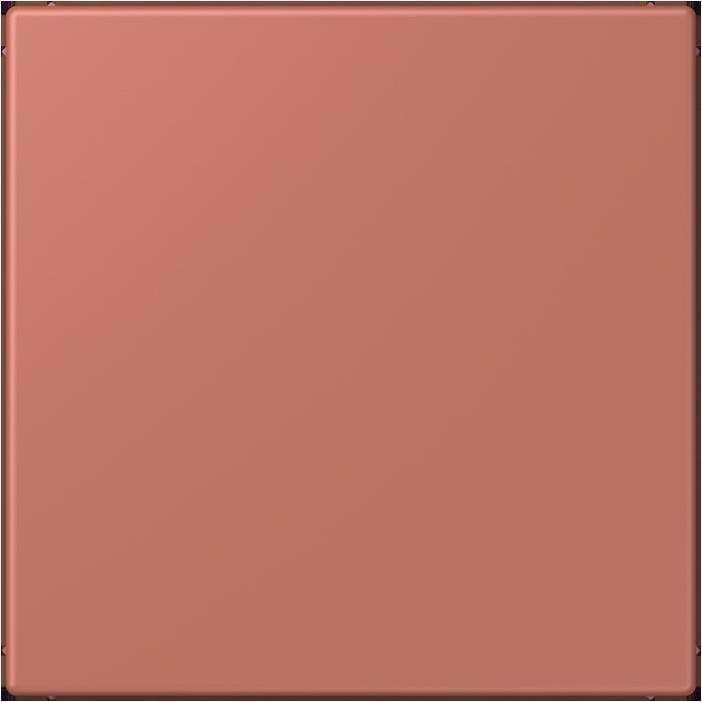 Produktbild JUNG Blindabdeckung