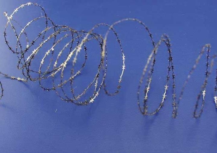 Image du produit Eduard Fil de fer barbelé I.(8m) Kit de photogravure