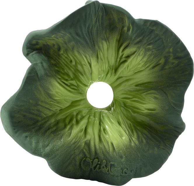 Produktbild Oli and Carol Mini Doudou - Teether Kendall the Kale
